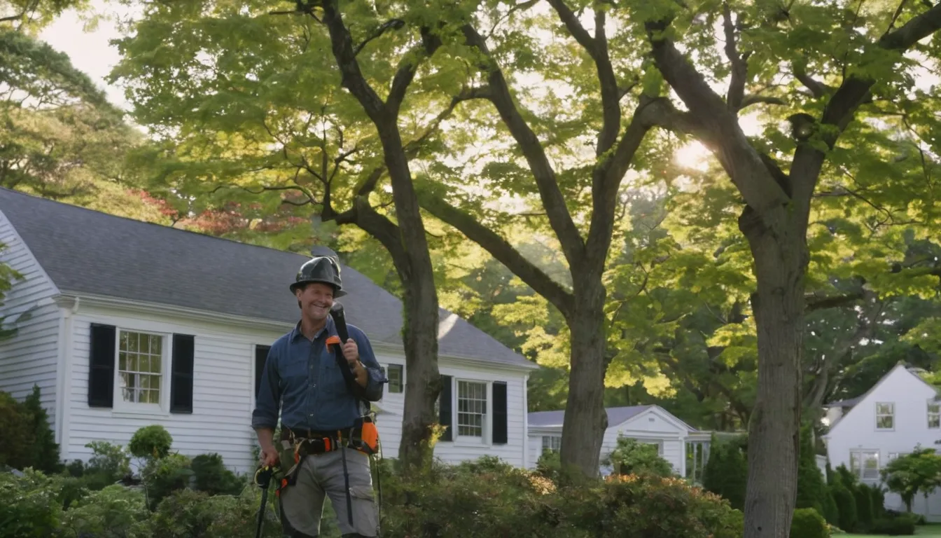 Friendly local tree provider talking with a homeowner in a Canonsburg yard before tree removal